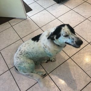 Meet your Posher, Nick